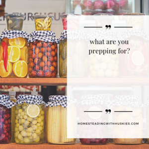 what are you prepping for?